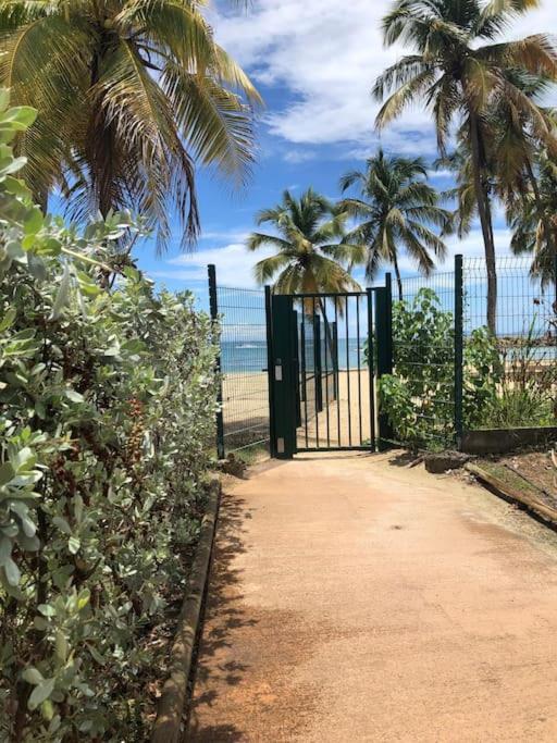 Soleiade Le Gosier - Acces Plage エクステリア 写真